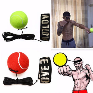 Reflex Speed Boxing Punch Ball